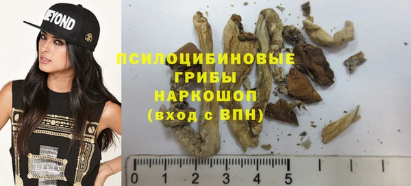 соль курить ск Рославль