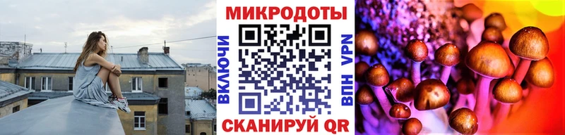 как найти закладки  Рославль  Галлюциногенные грибы Cubensis 