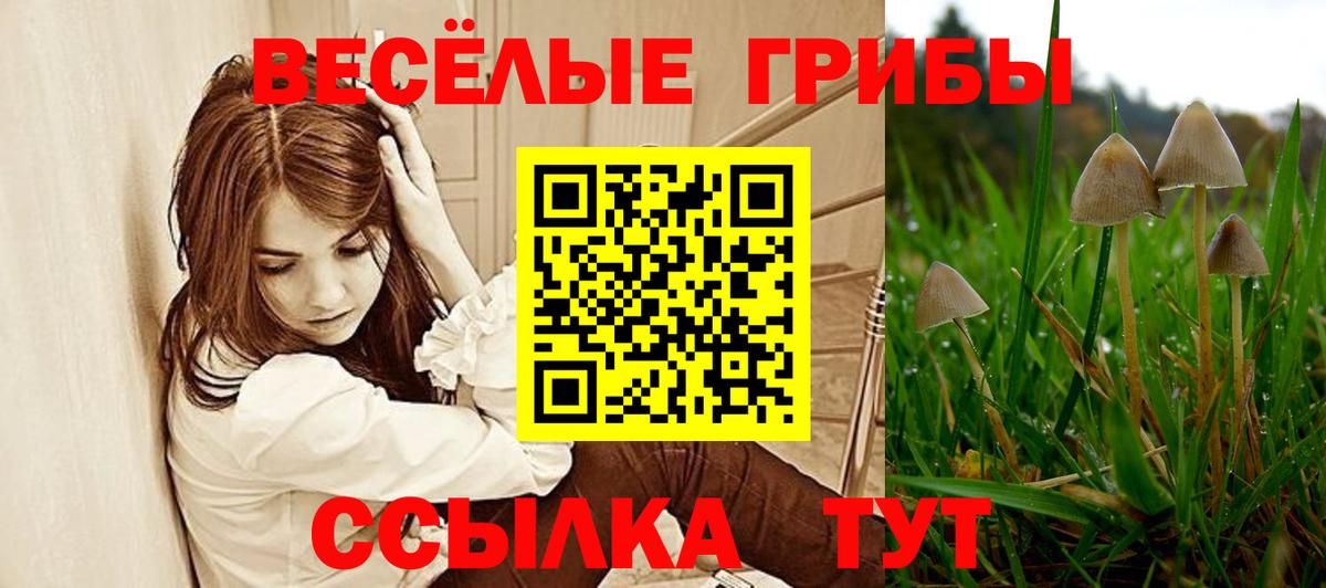 Рославль  Псилоцибиновые грибы Cubensis  Псилоцибиновые грибы Cubensis  Вход с VPN 