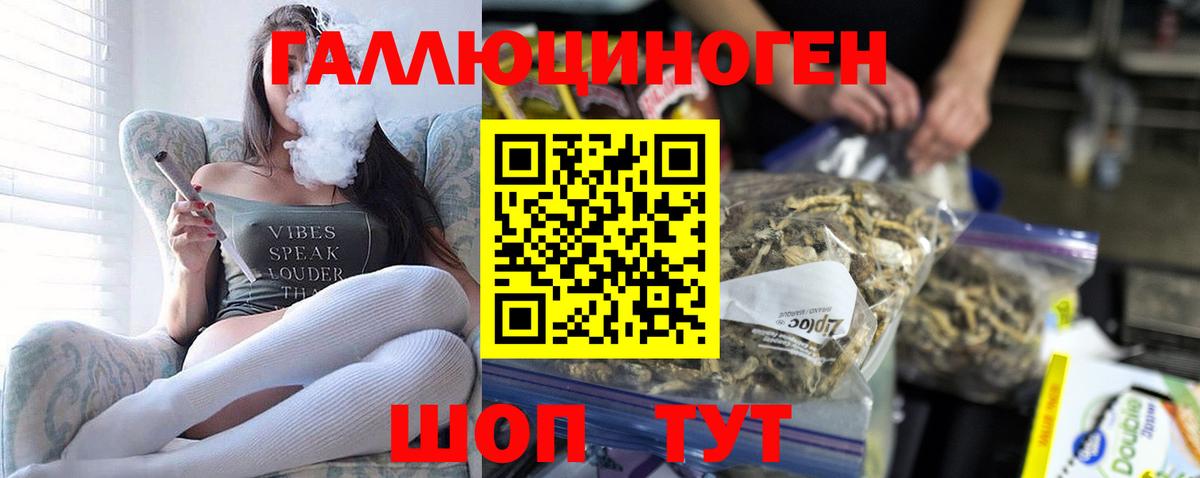 Псилоцибиновые грибы мухоморы Рославль
